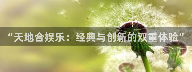 开丰娱乐：“天地合娱乐：经典与创新的双重体验”
