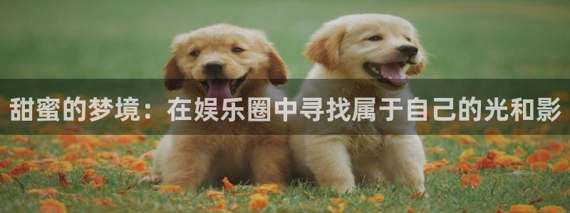 开丰娱乐168：甜蜜的梦境：在娱乐圈中寻找属于自己的光和影