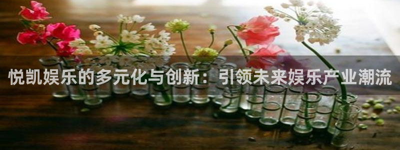 开丰娱乐：悦凯娱乐的多元化与创新：引领未来娱乐产业潮流