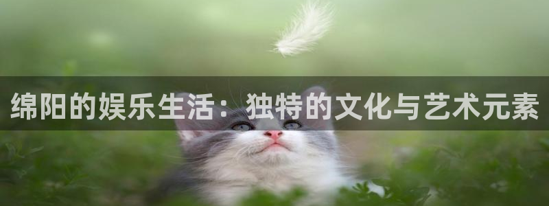 开丰娱乐地址：绵阳的娱乐生活：独特的文化与艺术元素